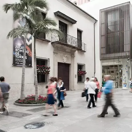 Suites Picasso Apartment Malaga